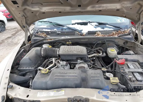 2004 Dodge Dakota Slt z USA, uszkodzony, nr VIN 1D7HG48N24S504796